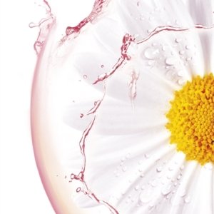 Garnier Skin Naturals Moisture+Comfort 28 g 03Parapharm - Algérie, Beauté, Santé , Bien-être...