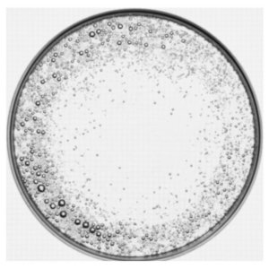 Vichy Dercos Shampoing Traitant Antipelliculaire Sensitive 200 ml 03Parapharm - Algérie, Beauté, Santé , Bien-être...